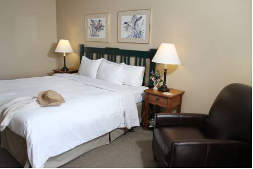 Imagen de la habitación del Hotel Riverside Inn. Foto 8