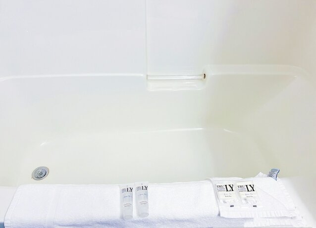 Imagen general del Hotel Riverside Inn. Foto 5