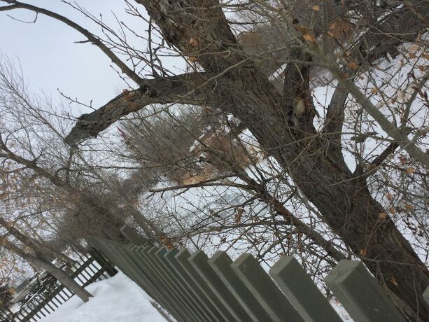 Imagen general del Hotel Riverside Motel, Cache Creek. Foto 14