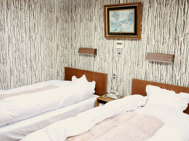 Imagen general del Hotel Riverside Shoei. Foto 3