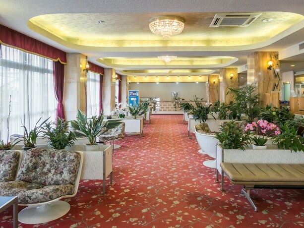 Imagen general del Hotel Riverside Shoei. Foto 8
