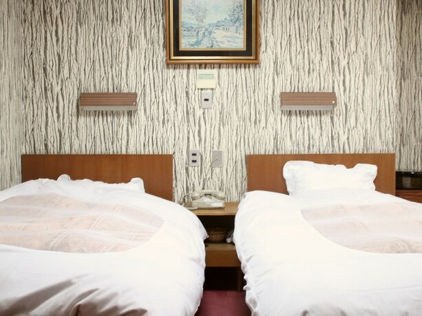 Imagen general del Hotel Riverside Shoei. Foto 9