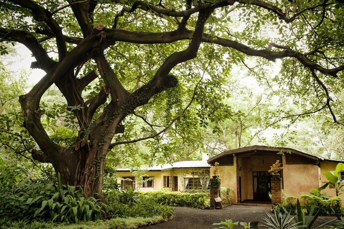 Imagen general del Hotel Rivertrees Country Inn. Foto 3