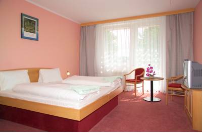 Imagen de la habitación del Hotel Riviera, Depoltovice. Foto 5