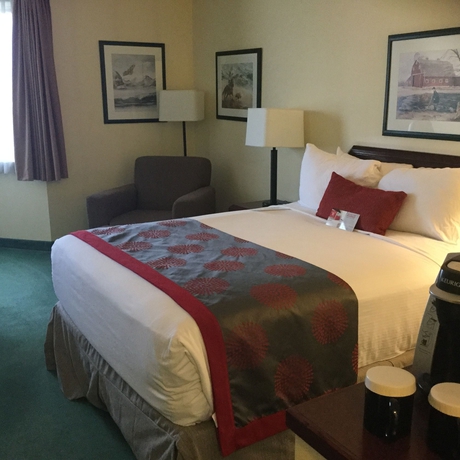 Imagen de la habitación del Hotel Riviera Plaza and Conference Centre Calgary Airport. Foto 5