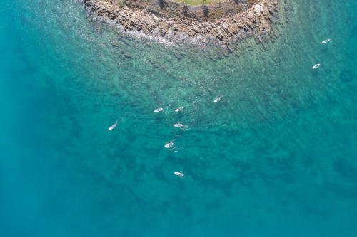 Imagen general del Hotel Rixos Premium Bodrum. Foto 9