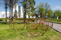 Imagen general del Hotel Rixos-prykarpattya Resort. Foto 47