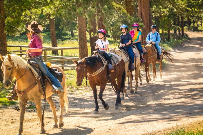 Imagen general del Hotel Roaring Brook Ranch Resort. Foto 3