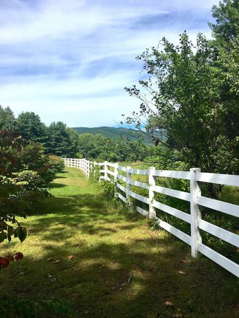 Imagen general del Hotel Roaring Brook Ranch Resort. Foto 5