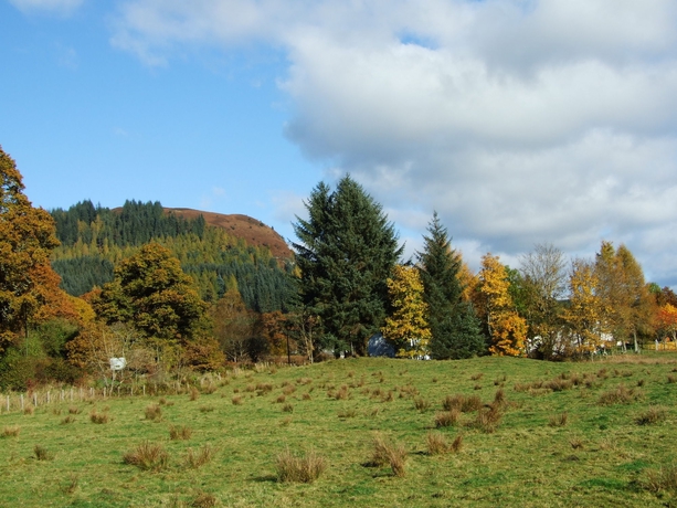 Imagen general del Hotel Rob Roy. Foto 2