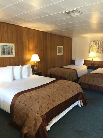 Imagen de la habitación del Hotel Robbie\'s Motel. Foto 15