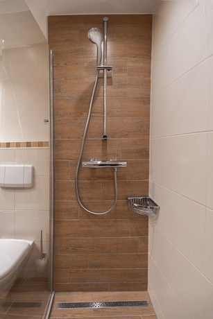 Imagen de la habitación del Hotel Robenstein Aktivhotel and SPA. Foto 19