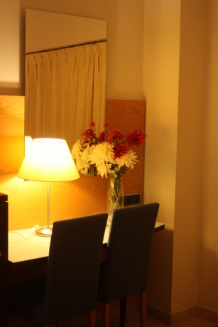 Imagen de la habitación del Hotel Rober Palas. Foto 10