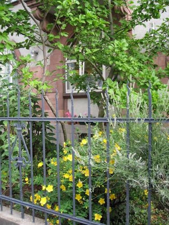 Imagen general del Hotel Robert Mayer. Foto 2