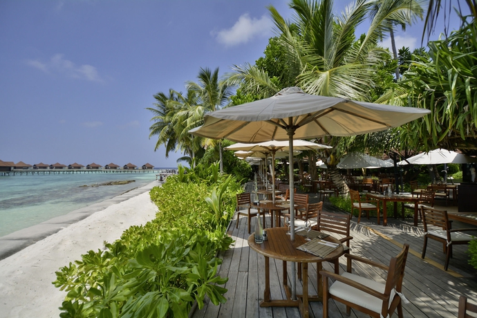 Imagen del bar/restaurante del Hotel Robinson Maldives - Adults Only - All Inclusive. Foto 6