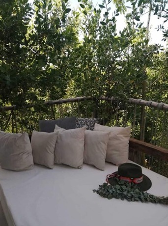 Imagen general del Hotel Roc Jungle Tulum. Foto 2