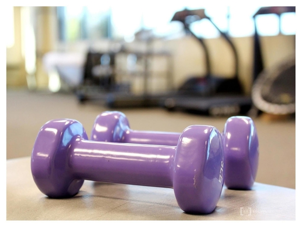 Imagen de los interiores del Hotel Rochester Classic. Foto 14