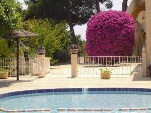 Imagen general del Hotel Rocinante. Foto 6