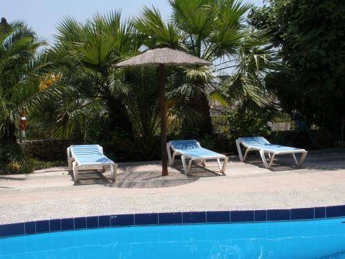 Imagen general del Hotel Rocinante. Foto 8