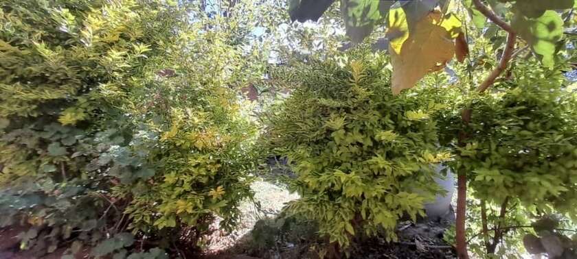 Imagen general del Hotel Rock Land Guest House. Foto 5