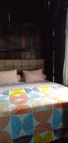 Imagen de la habitación del Hotel Rock and Wreck Dive Resort. Foto 9