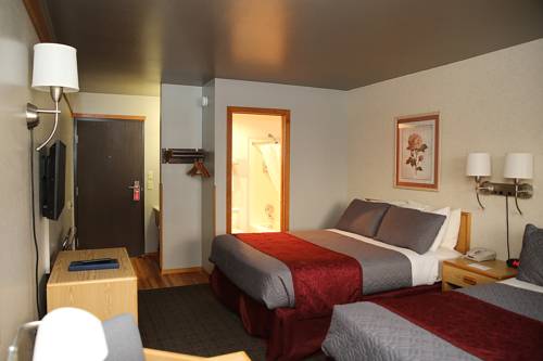 Imagen de la habitación del Hotel Rocker Inn. Foto 12