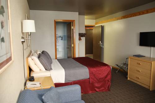 Imagen de la habitación del Hotel Rocker Inn. Foto 15