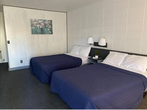 Imagen de la habitación del Hotel Rockwood Resort Motel. Foto 11