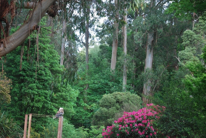 Imagen de los exteriores del Hotel Rocky Creek Art Garden Bandb. Foto 15