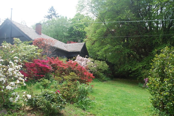 Imagen de los exteriores del Hotel Rocky Creek Art Garden Bandb. Foto 16