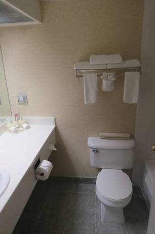 Imagen de la habitación del Hotel Rocky Inn Express. Foto 14