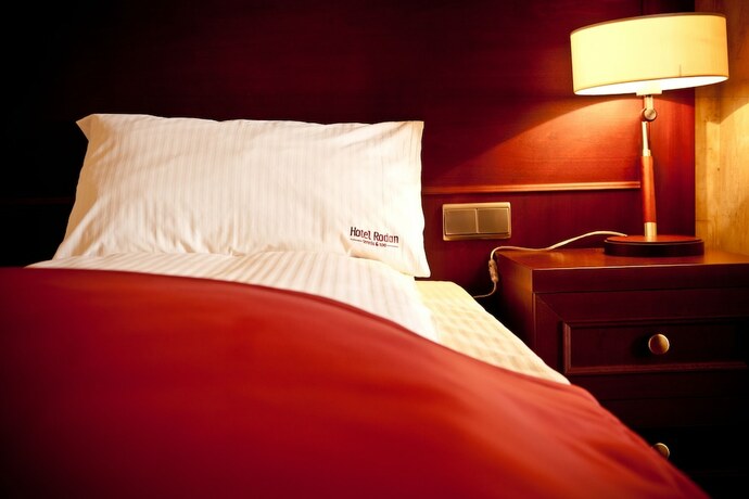 Imagen de la habitación del Hotel Rodan. Foto 20