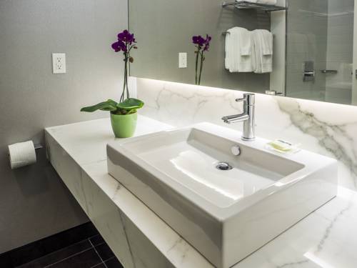 Imagen de la habitación del Hotel Rodd Miramichi. Foto 6