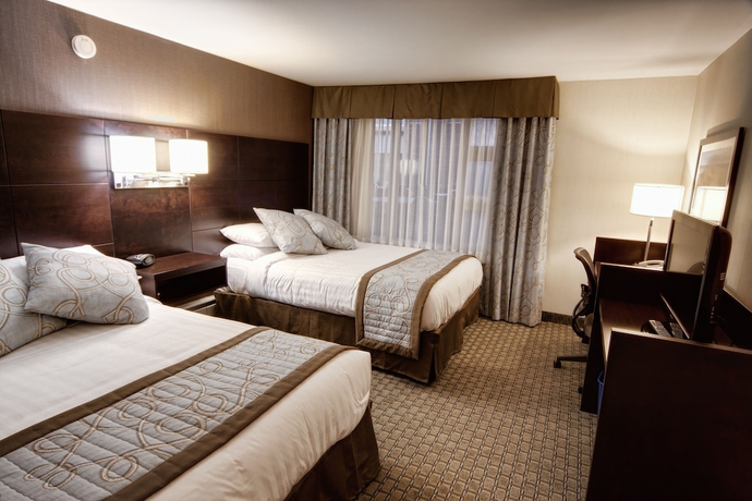 Imagen de la habitación del Hotel Rodd Royalty. Foto 3