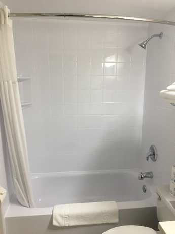 Imagen de la habitación del Hotel Rodd Royalty. Foto 10