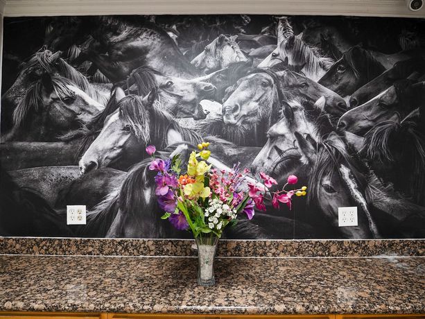 Imagen de los interiores del Hotel Rodeo Lodge. Foto 20