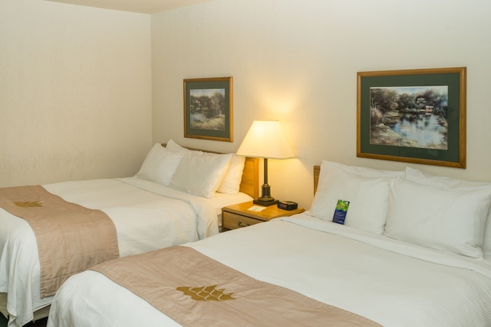 Imagen de la habitación del Hotel Rodeway Inn, Edson. Foto 6