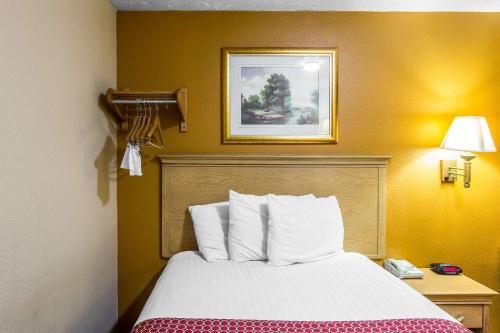 Imagen general del Hotel Rodeway Inn Goodlettsville South. Foto 18