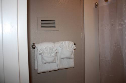 Imagen de la habitación del Hotel Rodeway Inn Kingsland. Foto 4