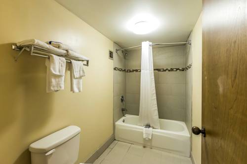 Imagen de la habitación del Hotel Rodeway Inn, Knoxville. Foto 9