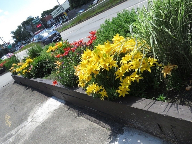 Imagen de los exteriores del Hotel Rodeway Inn Logan International Airport. Foto 13