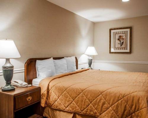 Imagen de la habitación del Hotel Rodeway Inn Lyons - La Grange. Foto 12