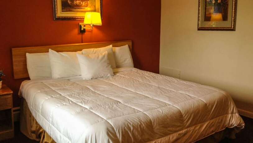 Imagen general del Hotel Rodeway Inn, Manchester. Foto 14