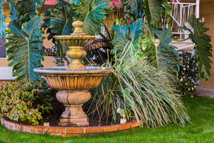 Imagen de los exteriores del Hotel Rodeway Inn Near Venice Beach. Foto 13