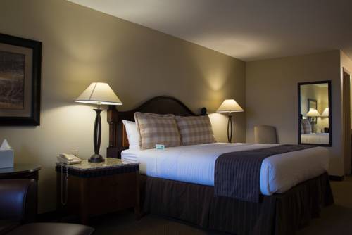 Imagen de la habitación del Hotel Rodeway Inn, San Angelo . Foto 6