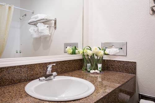 Imagen de la habitación del Hotel Rodeway Inn San Jose Hwy-101 Tully Rd Exit. Foto 3