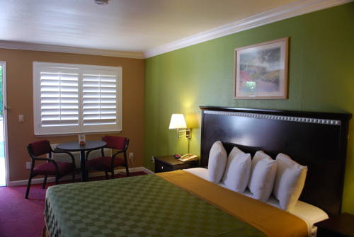 Imagen de la habitación del Hotel Rodeway Inn San Jose Hwy-101 Tully Rd Exit. Foto 8