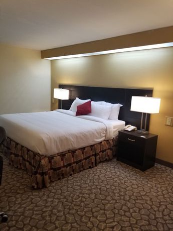 Imagen de la habitación del Hotel Rodeway Inn Santee I-95. Foto 11