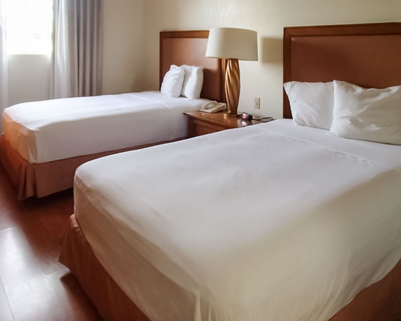 Imagen de la habitación del Hotel Rodeway Inn South Miami Coral Gables. Foto 5