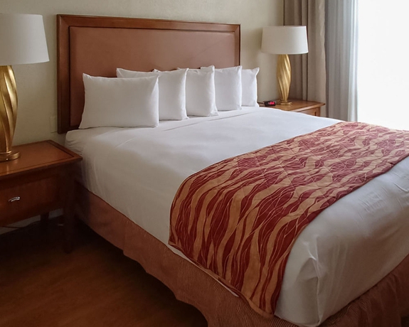 Imagen de la habitación del Hotel Rodeway Inn South Miami Coral Gables. Foto 7